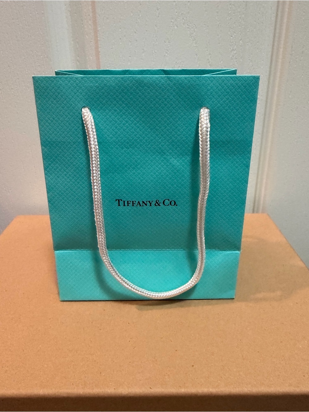 Tiffany & Co. Blue Paper Gift Bag with White Rope Handles